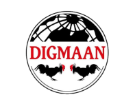 Digmaan is One of the Casino Software Suppliers under BgSofts's Vendor Database - BgSofts