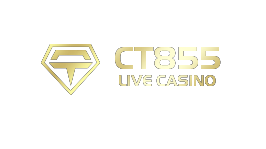 CT855 is One of the Casino Software Suppliers under BgSofts's Vendor Database - BgSofts