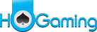 HoGaming  is One of the Casino Software Suppliers under BgSofts's Vendor Database - BgSofts