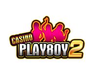 Play8oy is One of the Casino Software Suppliers under BgSofts's Vendor Database - BgSofts