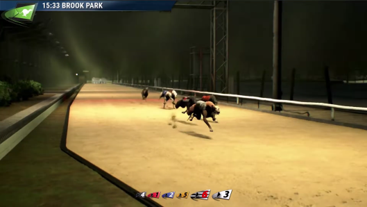 Virtual Greyhound Racing is One of the Virtual Sports Betting that Developed by our Vendor Partner Playtech - BgSofts